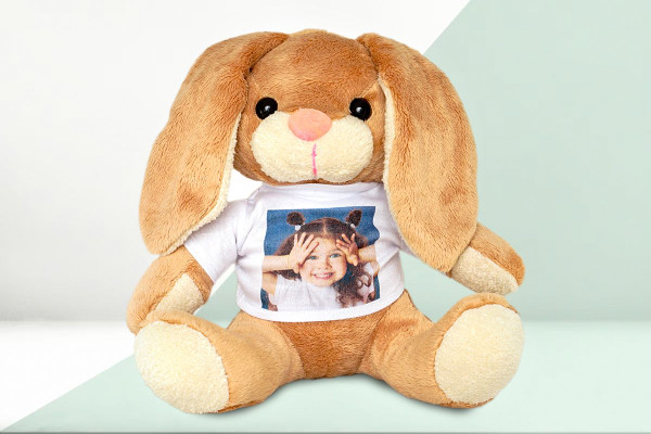 Favoirute Photo Soft Toy Bunny